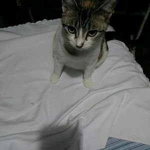 Meet your Posher, Travis